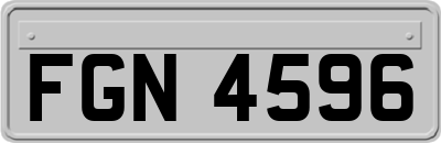 FGN4596