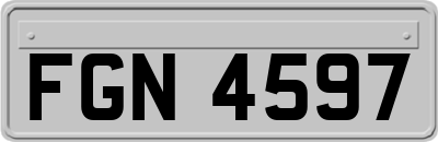 FGN4597