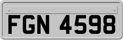 FGN4598