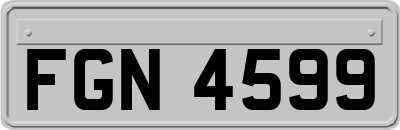 FGN4599