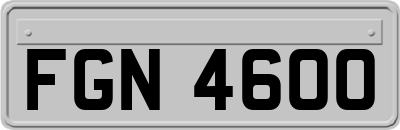 FGN4600