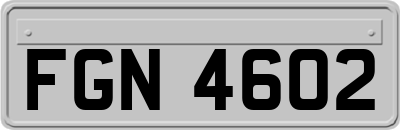 FGN4602