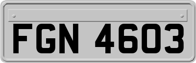 FGN4603