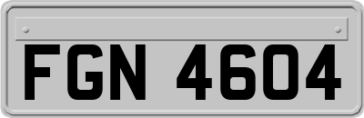FGN4604