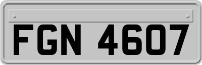FGN4607