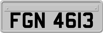 FGN4613