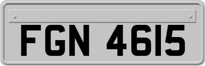 FGN4615