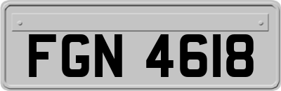 FGN4618