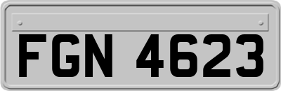FGN4623