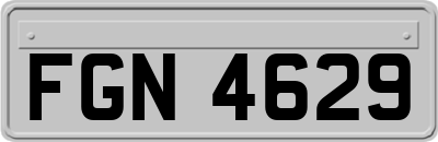 FGN4629