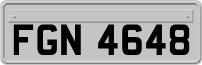 FGN4648