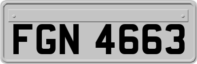 FGN4663