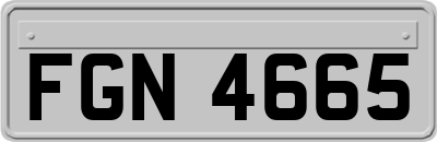 FGN4665
