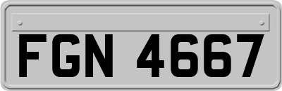 FGN4667