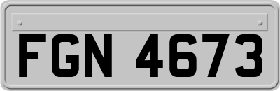 FGN4673