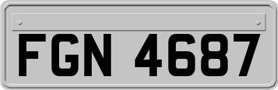 FGN4687
