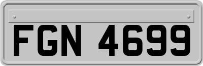FGN4699