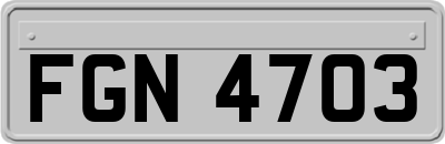 FGN4703