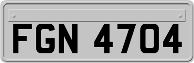 FGN4704