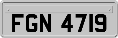 FGN4719