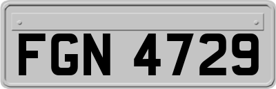 FGN4729