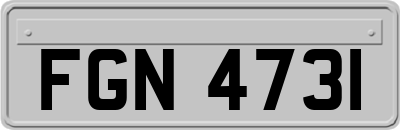 FGN4731