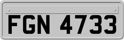 FGN4733