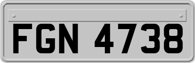 FGN4738