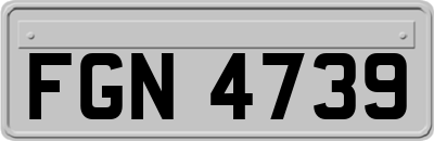 FGN4739