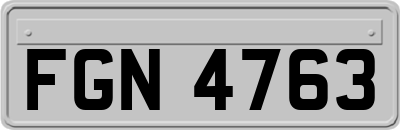 FGN4763