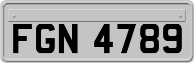 FGN4789