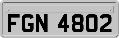 FGN4802
