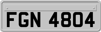 FGN4804