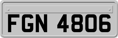 FGN4806