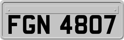 FGN4807