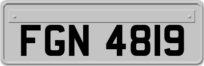 FGN4819