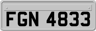 FGN4833