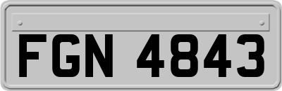 FGN4843