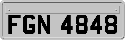 FGN4848