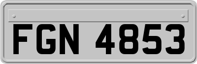 FGN4853