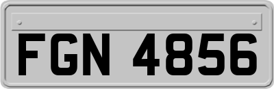 FGN4856