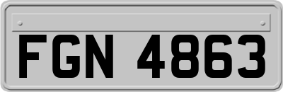 FGN4863