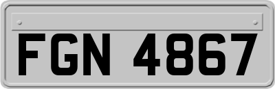 FGN4867