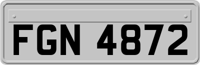 FGN4872