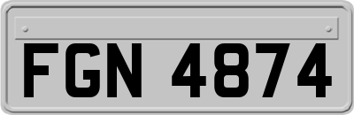 FGN4874