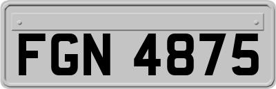 FGN4875