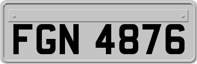 FGN4876