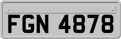 FGN4878