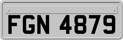 FGN4879