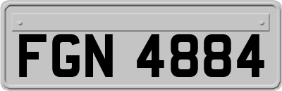 FGN4884